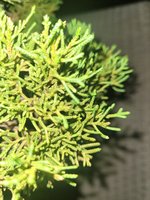 20230901_055224.jpg