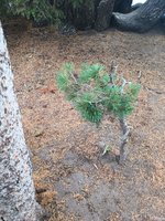 IMG_20230831_152554701.jpg IMG_20230831_152554701.jpg