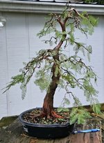 20230902_183748.jpg