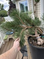 IMG_5447.jpeg
