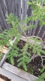 20230904_192046.jpg