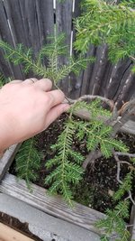 20230904_192051.jpg