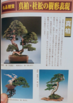 1693923795379.png 1693923795379.png