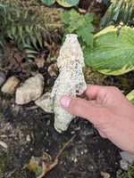 PXL_20230907_184115061.jpg