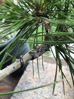 IMG_3478.JPG