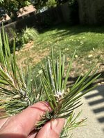 IMG_0689.jpeg