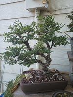 IMG_20230914_103845862.jpg