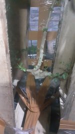 002_20230916.jpg