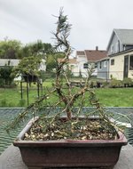 IMG_2314.jpeg