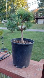 20230916_183358.jpg 20230916_183358.jpg