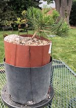 IMG_2327.jpeg IMG_2327.jpeg