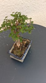 PXL_20230623_122318300.jpg