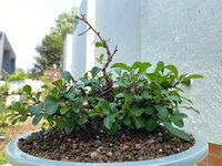 IMG_7522.jpeg