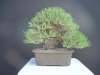 DSC00299.jpg