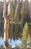 2009-07-10_deadwood3.jpg