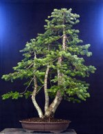 IMG_1124.JPG