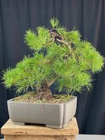 IMG_8318.jpg