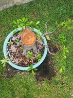 20231009_074252.jpg