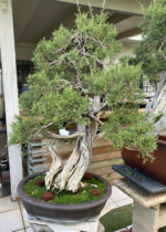 1696835112448.png 1696835112448.png