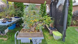 20231006_105606.jpg