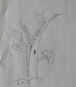 sketch.jpg