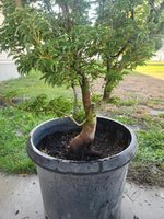 20231013_171022.jpg