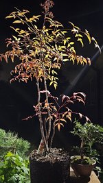 20231015_030619.jpg