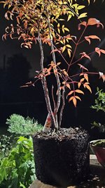 20231015_030352.jpg