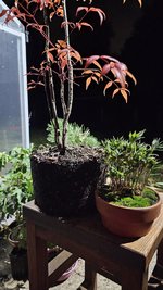 20231015_031016.jpg