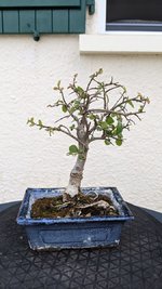 PXL_20231017_124332362.jpg