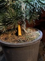IMG_0646.jpeg