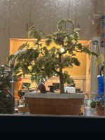 IMG_0888.jpeg