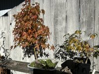 IMG_0848.jpeg
