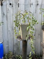 IMG_0894.jpeg