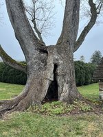 IMG_0720.jpeg
