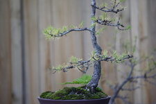 DSC06830.JPG