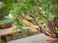 IMG_1848.jpeg