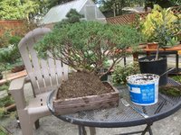 IMG_1849.jpeg