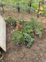 IMG_5361.jpeg