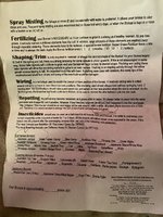 IMG_2716.jpeg