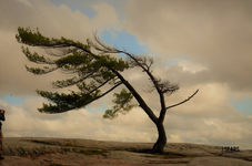 1699918412837.png 1699918412837.png