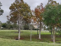 IMG_20231116_120036269.jpg