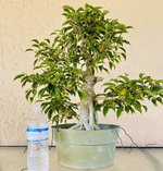 IMG_1276.jpg