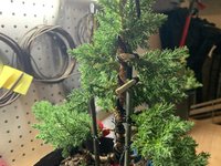IMG_1489.jpeg