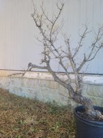 20231119_103507.jpg