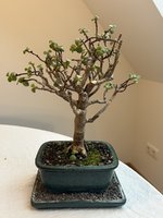IMG_4583.jpeg