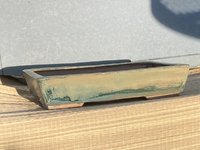 IMG_0287.jpeg