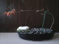 20150908_092751.jpg