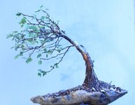 28399153921_3521a2754a_o (1).jpg