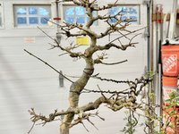 IMG_0431.jpeg